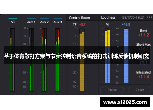 基于体育散打方案与节奏控制语音系统的打击训练反馈机制研究