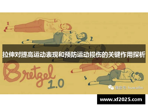 拉伸对提高运动表现和预防运动损伤的关键作用探析